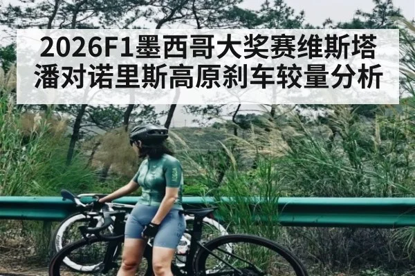 2026F1墨西哥大奖赛维斯塔潘对诺里斯高原刹车较量分析